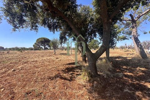 Ruïna a Carovigno, Brindisi, Carovigno - € 225.000 | Ref: Casolare e Trul - foto 30